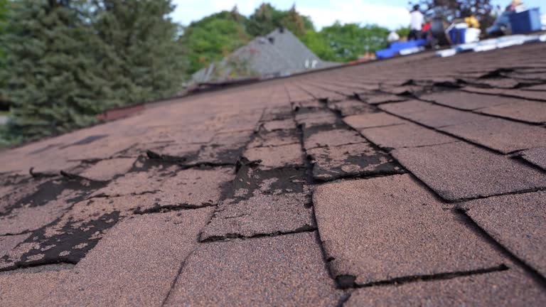 Steel Roofing in Belle, WV